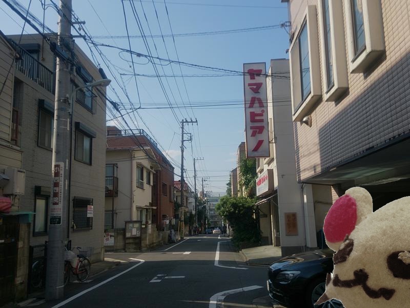 20.DSC_0293