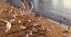 12.IMG_0806